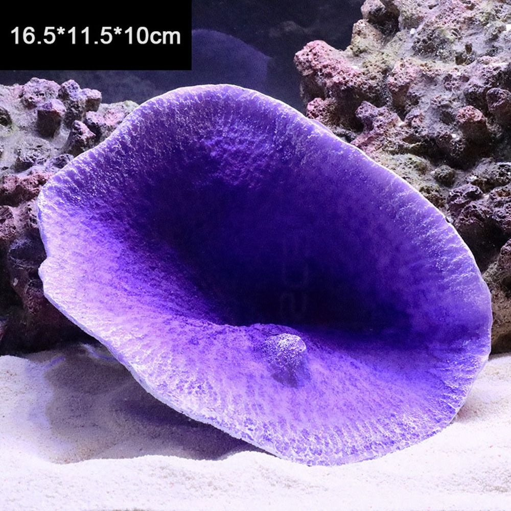 Marine Coral - 수지 인공 산호 모형 풍경 제작
