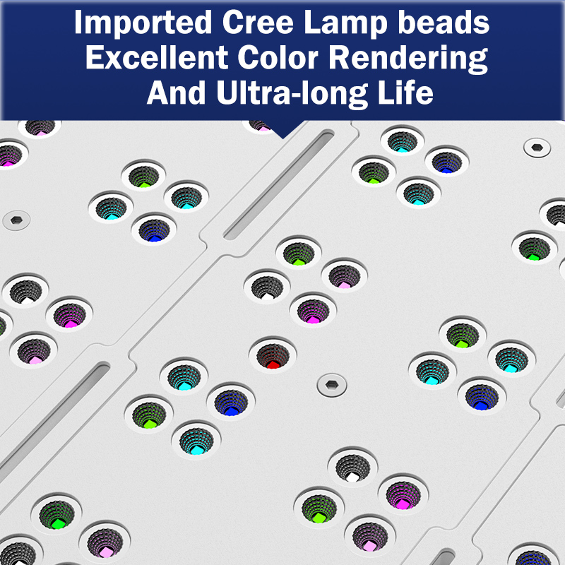 Reef Lighting - 핫 KASSRAY T169/T215 CREE LED 풀