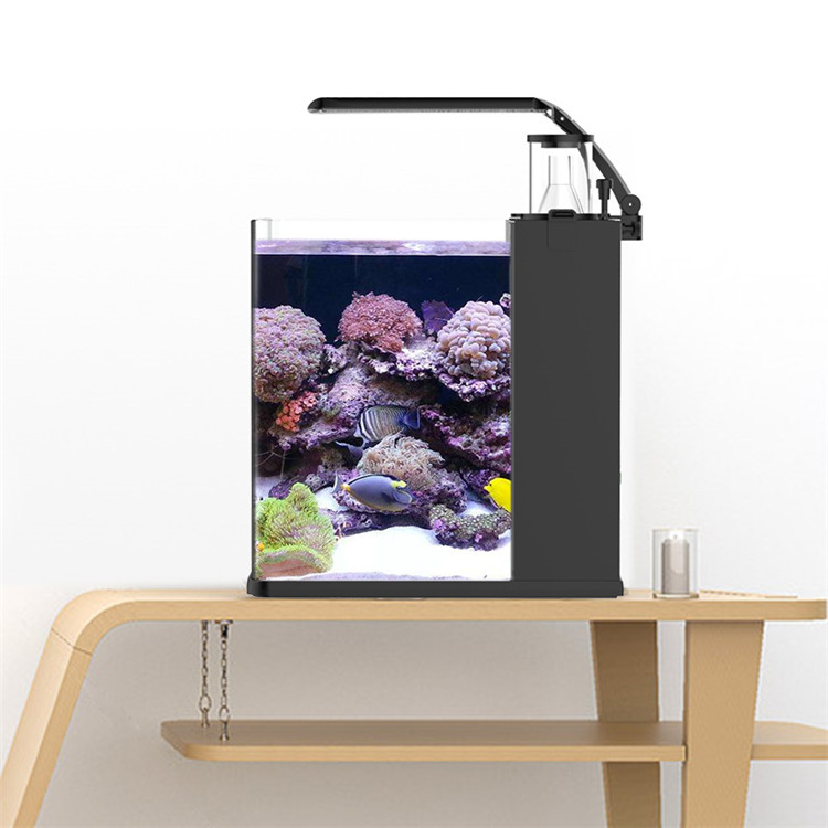 스카이누오 울트라 클리어 글래스 미니 해수어항 미디어  - Marine Aquarium Cube 리뷰 및 가격