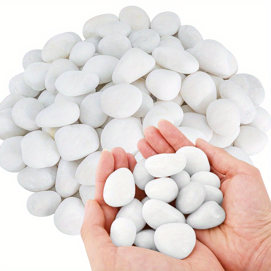 200/400g 흰색 고광택 천연 자갈 2-3cm 마당 - Marine Fish Tank 리뷰 및 가격