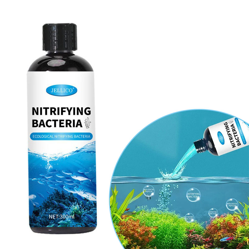 질화 박테리아 액체 물고기 탱크 정수기 수족관 물고기  - Ocean Aquarium 리뷰 및 가격