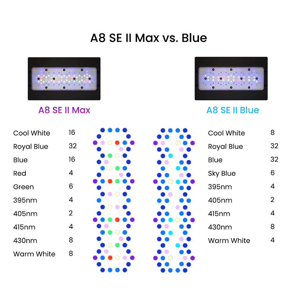 A8SE II Max 및 Blue 240W 풀 스펙트럼 - Marine Coral 리뷰 및 가격